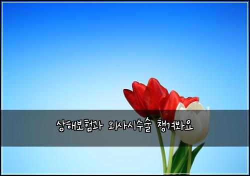 ์ํด๋ณดํ๊ณผ ์ธ์ฌ์์์ ์ฑ๊ฒจ๋ด์