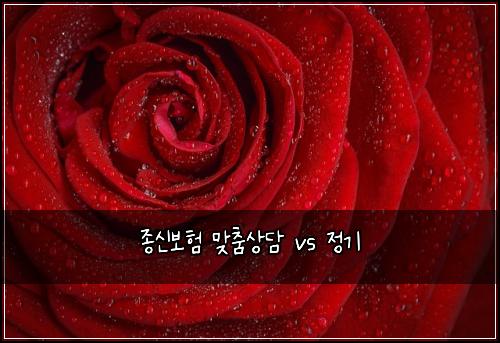 ์ข
์ ๋ณดํ ๋ง์ถค์๋ด vs ์ ๊ธฐ