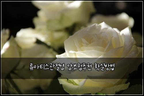 ๋ฅ๋งํฐ์ค๊ด์ ์ผ ์๋ณดํ์ถ์ฒ ํ์ค๋ฐฉ๋ฒ