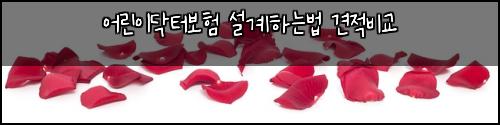 어린이닥터보험 설계하는법  견적비교