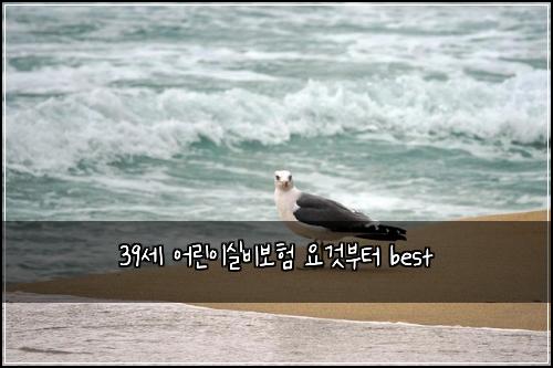 39์ธ ์ด๋ฆฐ์ด์ค๋น๋ณดํ ์๊ฒ๋ถํฐ best