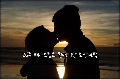 26์ฃผ ํ์๋ณดํ์ ํ๋ํด์ ๋ณด์ฅํํ