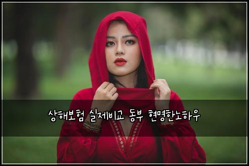 ์ํด๋ณดํ ์ค์ ๋น๊ต ๋๋ถ ํ๋ช
ํ๋
ธํ์ฐ