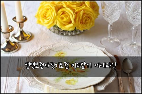 μλͺ
보νμ¬μ 기보ν 미리μκΈ° μΈμΈνμ