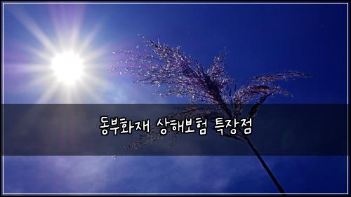 ๋๋ถํ์ฌ ์ํด๋ณดํ ํน์ฅ์ 