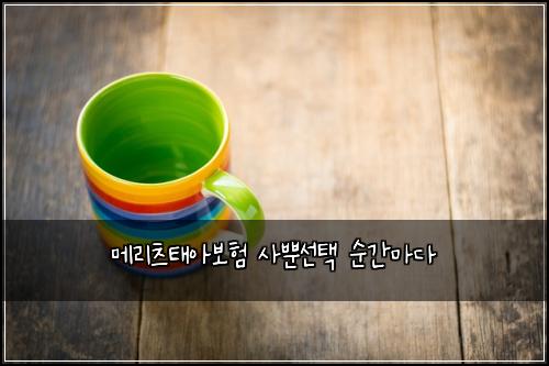 메리츠태아보험 사뿐선택  순간마다