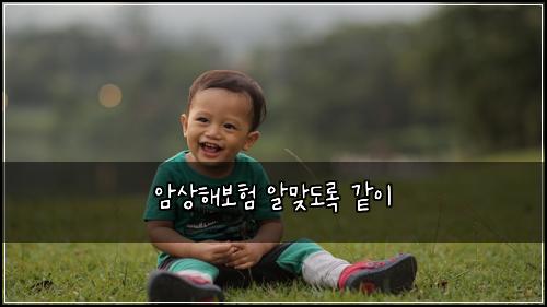 암상해보험 알맞도록  같이