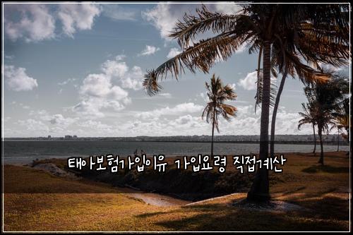 태아보험가입이유 가입요령 직접계산