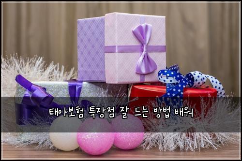 태아보험 특장점  잘 드는 방법 배워