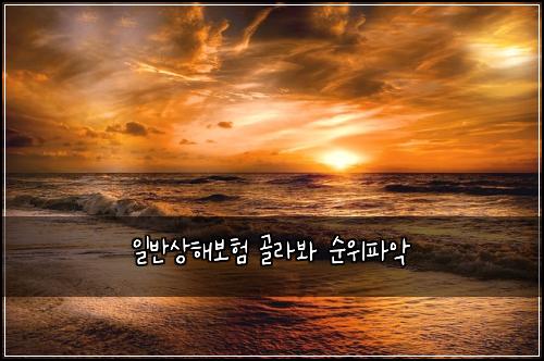 일반상해보험 골라봐  순위파악