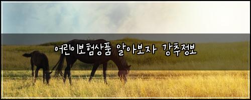 어린이보험상품 알아보자 강추정보