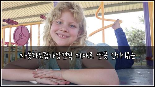 자동차보험가상견적 제대로 싼곳 인기이유는