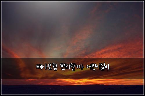 태아보험 편리할까  어린이실비