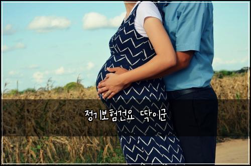 정기보험건요 딱이군