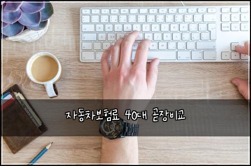 자동차보험료 40대 곧장비교