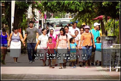 남편 종신보험 팁입니다  암