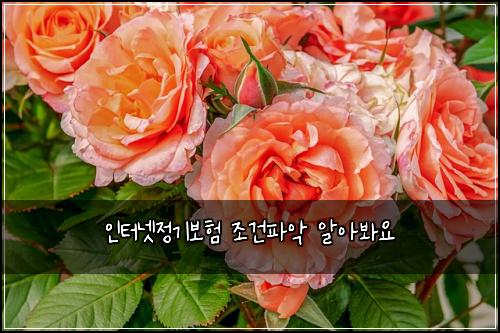 ์ธํฐ๋ท์ ๊ธฐ๋ณดํ ์กฐ๊ฑดํ์
์์๋ด์