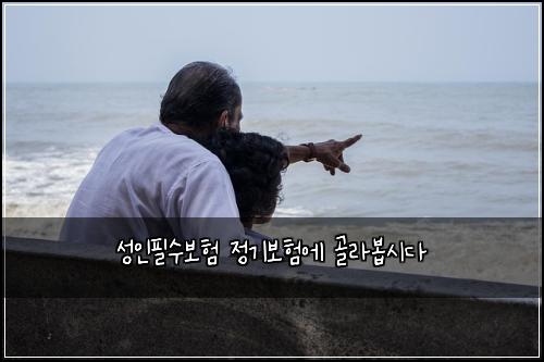 성인필수보험 정기보험에 골라봅시다