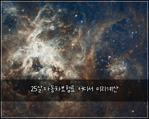 25μ΄μλ차보νλ£ μ΄λμ 미리κ³μ°