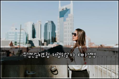 무갱신실비보험 저렴히알자  태아생명