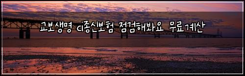교보생명 ci종신보험 점검해봐요  무료계산