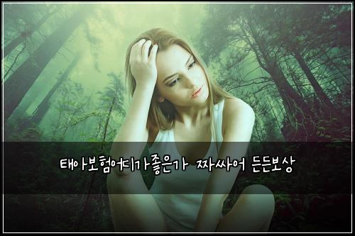 ํ์๋ณดํ์ด๋๊ฐ์ข์๊ฐ ์ง์ธ์ด ๋ ๋ ๋ณด์
