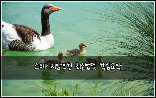 스테이지암보험 최신업뎃  핵심요약
