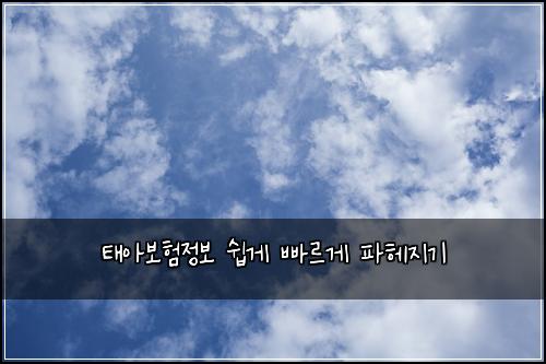 태아보험정보 쉽게 빠르게 파헤지기