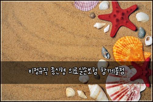비정규직 종신형 의료실손보험 함께볼점 