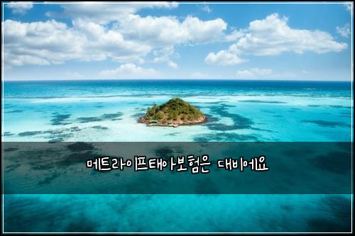메트라이프태아보험은 대비에요
