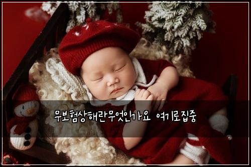 ๋ฌด๋ณดํ์ํด๋๋ฌด์์ธ๊ฐ์ ์ฌ๊ธฐ๋ก์ง์ค
