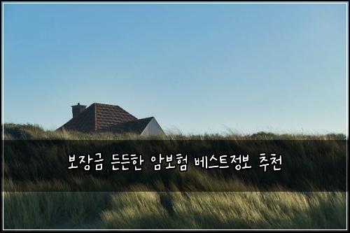 보장금 든든한 암보험 베스트정보  추천