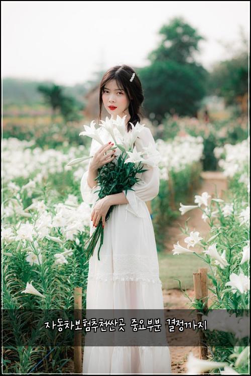 자동차보험추천싼곳 중요부분 결정까지