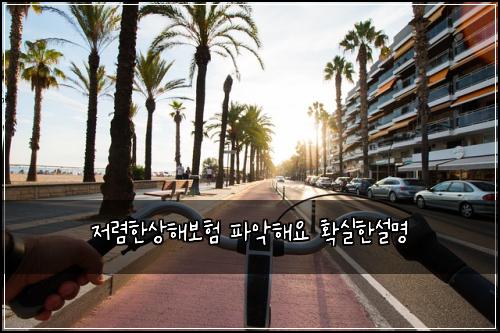 저렴한상해보험 파악해요  확실한설명
