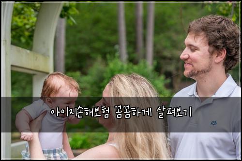 아이지손해보험 꼼꼼하게 살펴보기