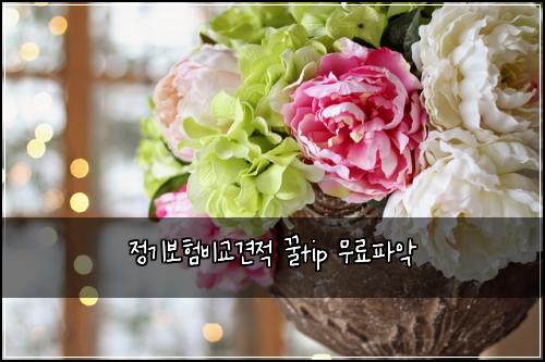 정기보험비교견적 꿀tip 무료파악