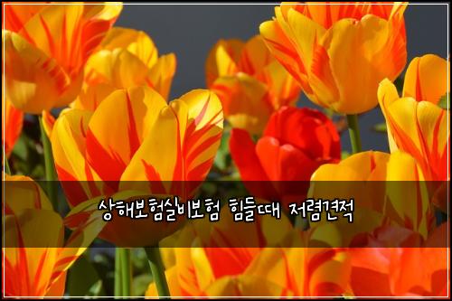 상해보험실비보험 힘들때 저렴견적