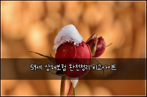59세 상해보험 완전정리  비교사이트