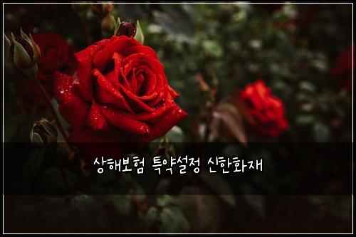 상해보험 특약설정  신한화재