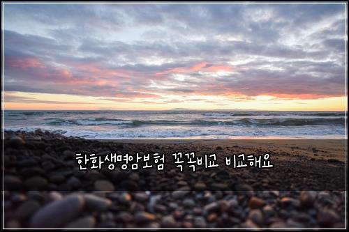 ํํ์๋ช
์๋ณดํ ๊ผญ๊ผญ๋น๊ต ๋น๊ตํด์