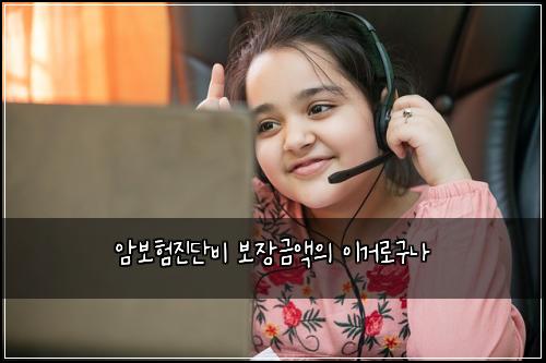 암보험진단비 보장금액의 이거로구나