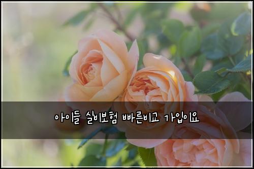 ์์ด๋ค ์ค๋น๋ณดํ ๋น ๋ฅธ๋น๊ต ๊ฐ์
์ด์