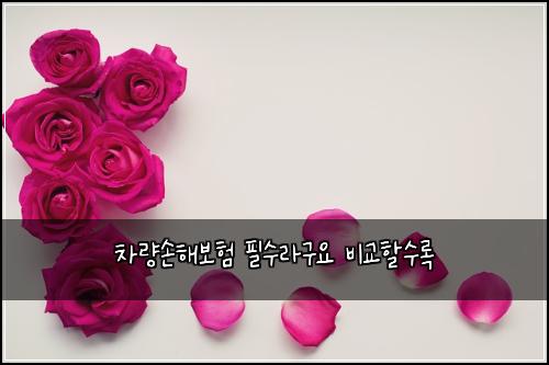 차량손해보험 필수라구요  비교할수록