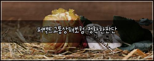 퍼백트교통상해보험 정확한판단 