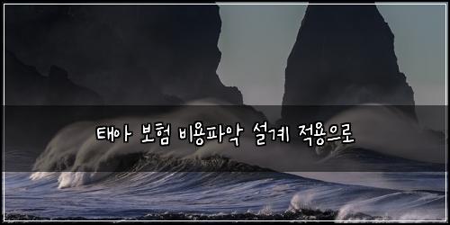 태아 보험 비용파악  설계 적용으로