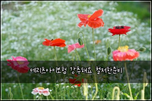 메리츠아이보험 강추해요  철저한준비