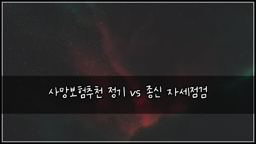 사망보험추천 정기 vs 종신 자세점검