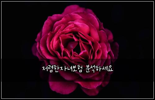 ์ ๋ ดํ์๋
๋ณดํ ๋ถ์ํ์ธ์