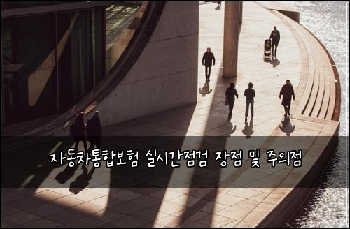 자동차통합보험 실시간점검  장점 및 주의점