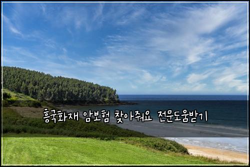 흥국화재 암보험 찾아줘요  전문도움받기